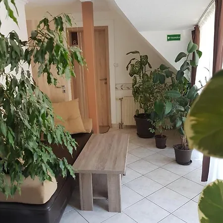 The Corner House Panzio 3* Tata